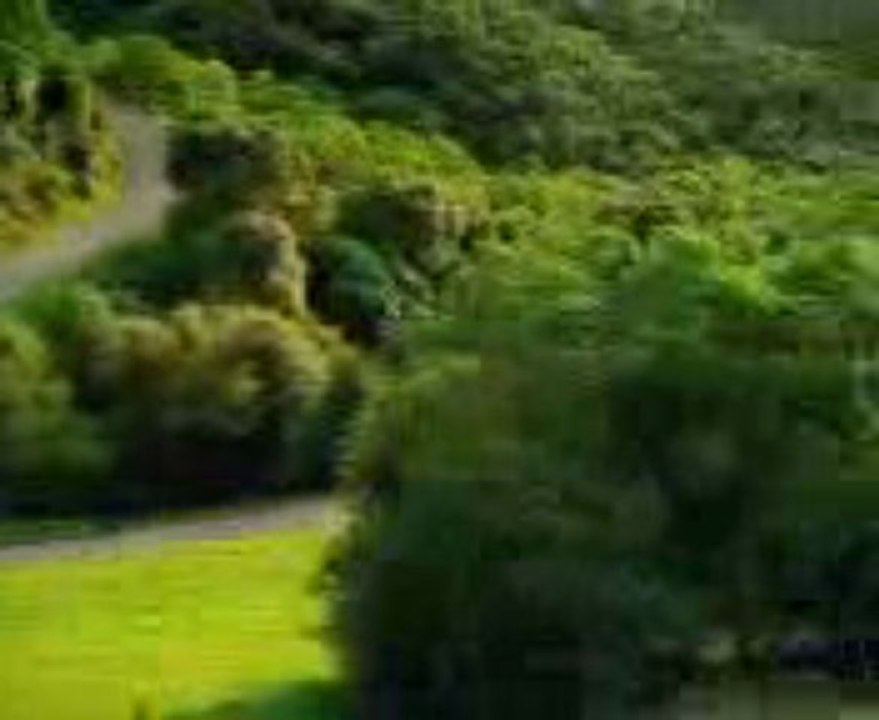 La voiture surprise