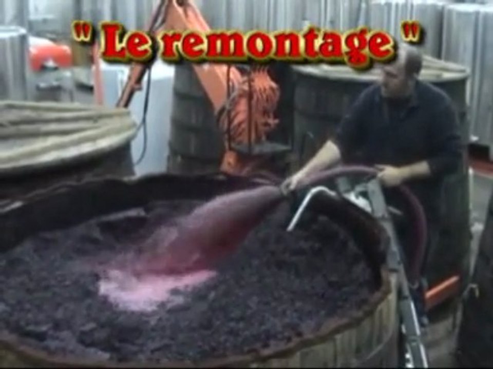 La fermentation alcoolique au domaine Lamé Delisle Boucard