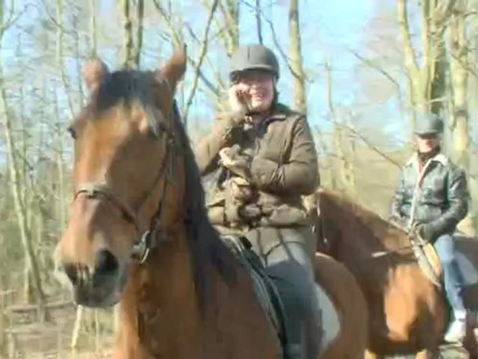 Equitation Paardrijden Horse Riding
