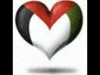 salah hamouri sur france 2