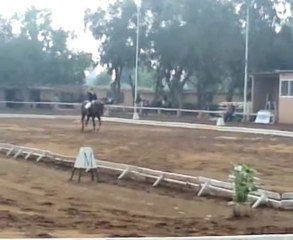 concour d'equitation du 22/11/09