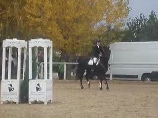 iris et moii a nimes costiere