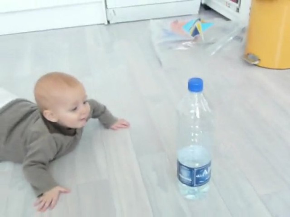 debut du quatre pattes