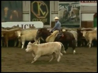 Peppy of Acres: Allevamento ROSY O'GRADY'S CUTTING HORSE