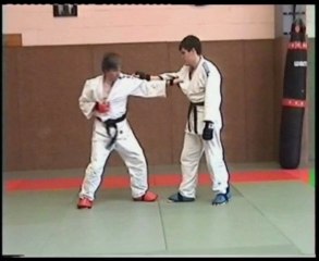 kumi kata jujutsu et figthing systême