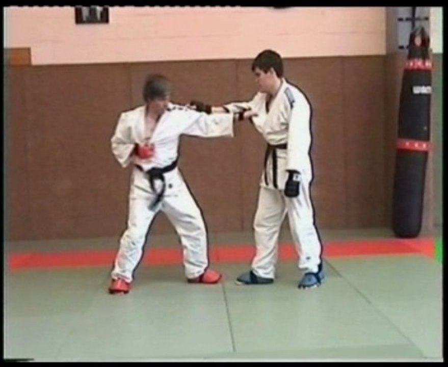 kumi kata jujutsu et figthing systême