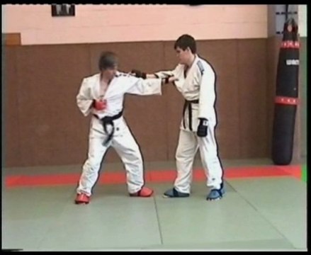 kumi kata jujutsu et figthing systême
