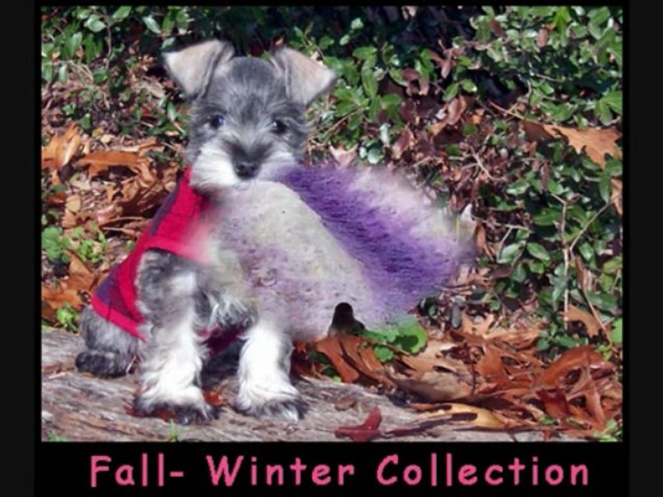 FurryTalk #6 v090-521 Te-am Intalnit