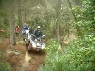 Rando quad sud du 23 nov 24009 n°