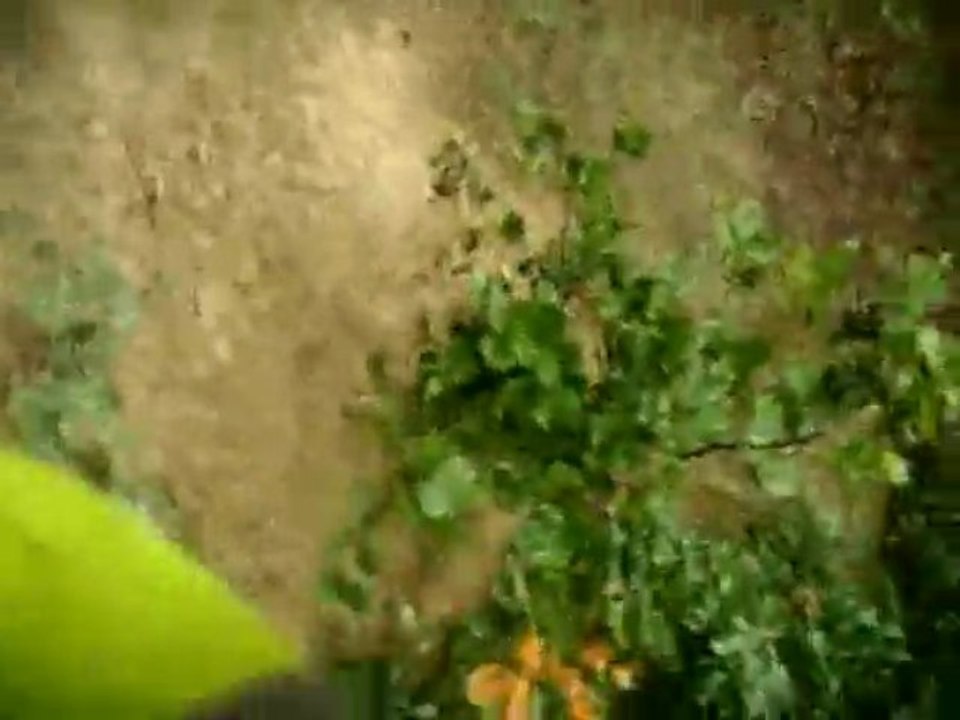 Rando quad sud du 23 nov 24009 n°6