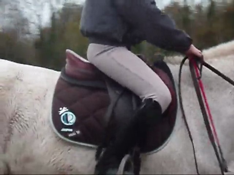 Cours de saut avec Homard à Kerbrandy le 21.11.09