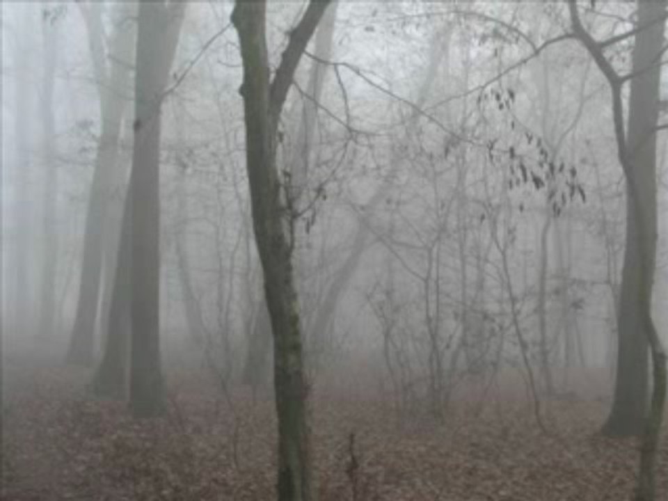 Estatic Fear - Chapter V