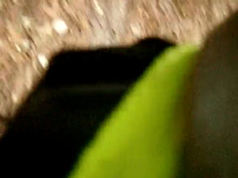 Rando quad sud du 23 nov n°10