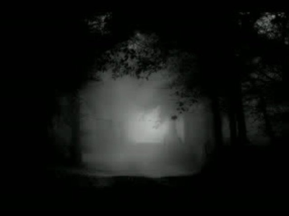 Estatic Fear - Chapter VIII