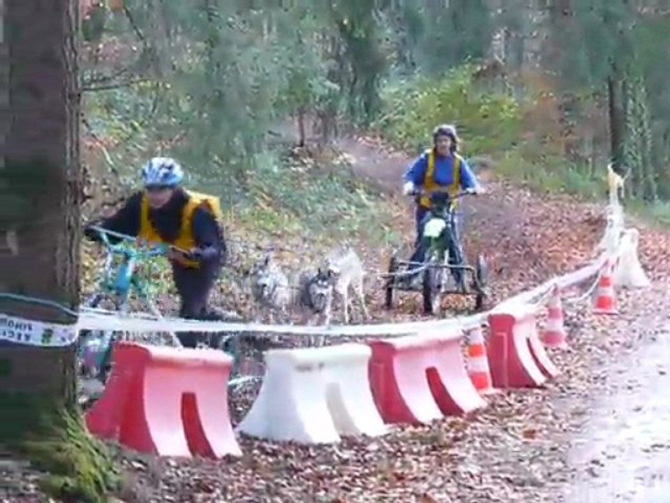 Saint PARDOUX 87 VSD