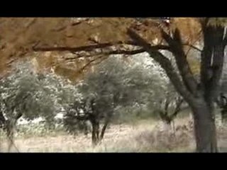 JB_Dunand_Vaucluse09