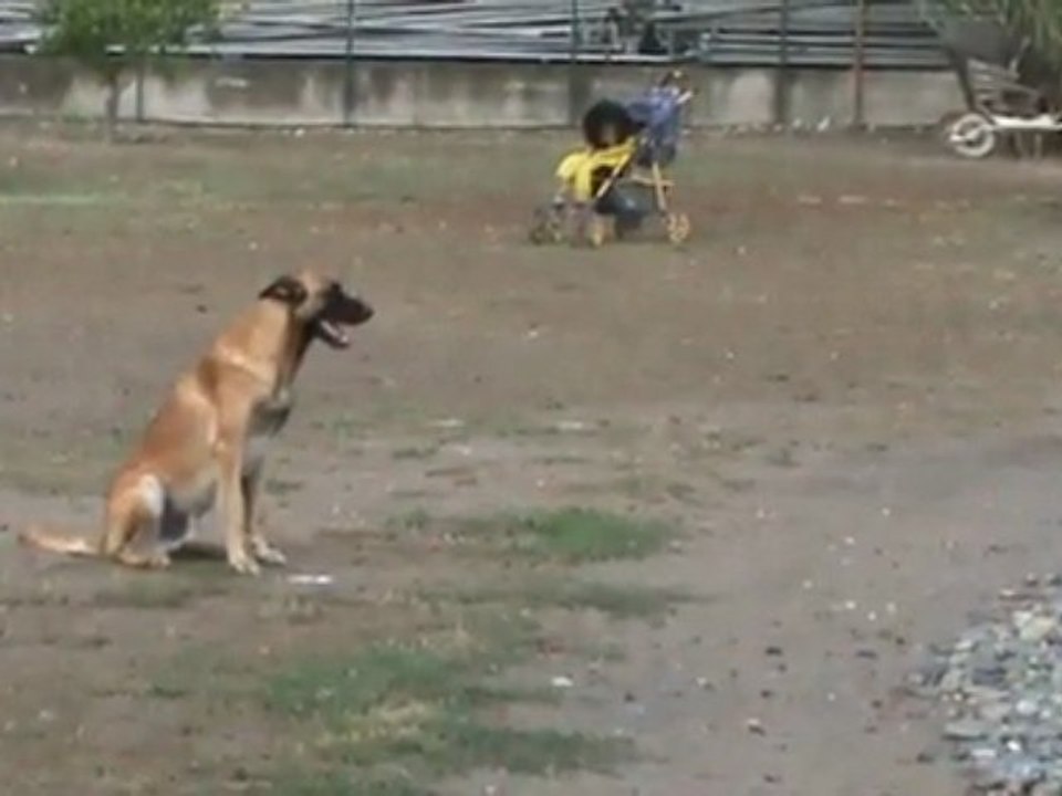 Presentation Brevet Mondioring Gun