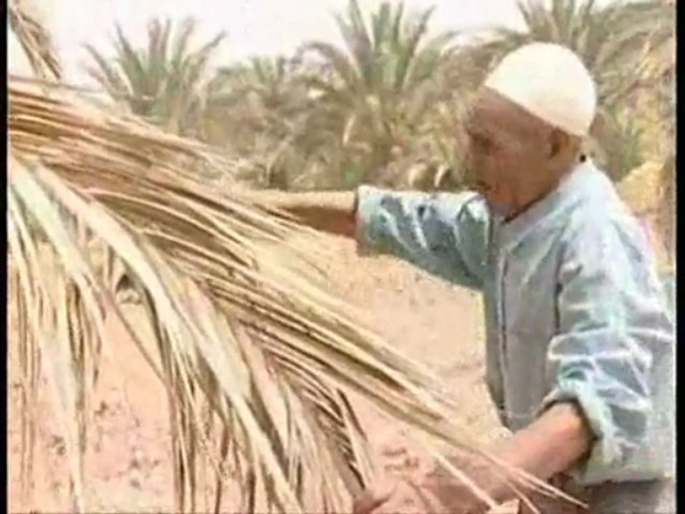 زحف الرمال يدمر الواحات في الجنوب المغربي