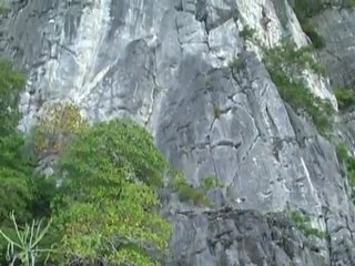 Snorkeling au llarge de Ko Phi Phi