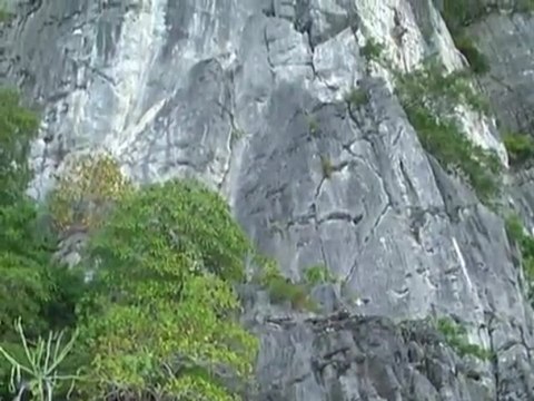Snorkeling au llarge de Ko Phi Phi