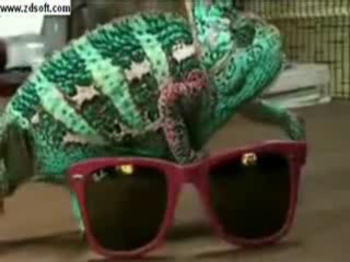 Allah'ın Büyüklüğü İşte (Subhanallah)