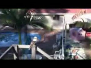 Bird Watching in My Brisbane Back Garden. A Kookaburra Visit