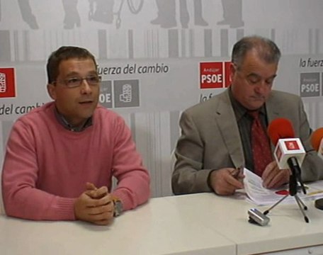 LOS SOCIALISTAS EN LAS INSTITUCIONES