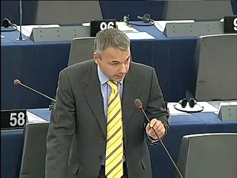 Niccolò Rinaldi on Euromed Free Trade Area