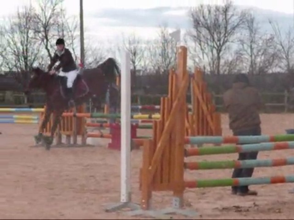 flicka d4