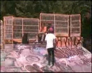 intro (alma for ever) 001