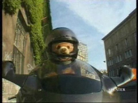 Grumli on motorbike Honda CBR