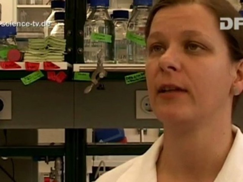 Suche nach Heilung 06 Ein langer Weg