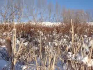 Ancient Tundra - Land Of The Midnight Sun