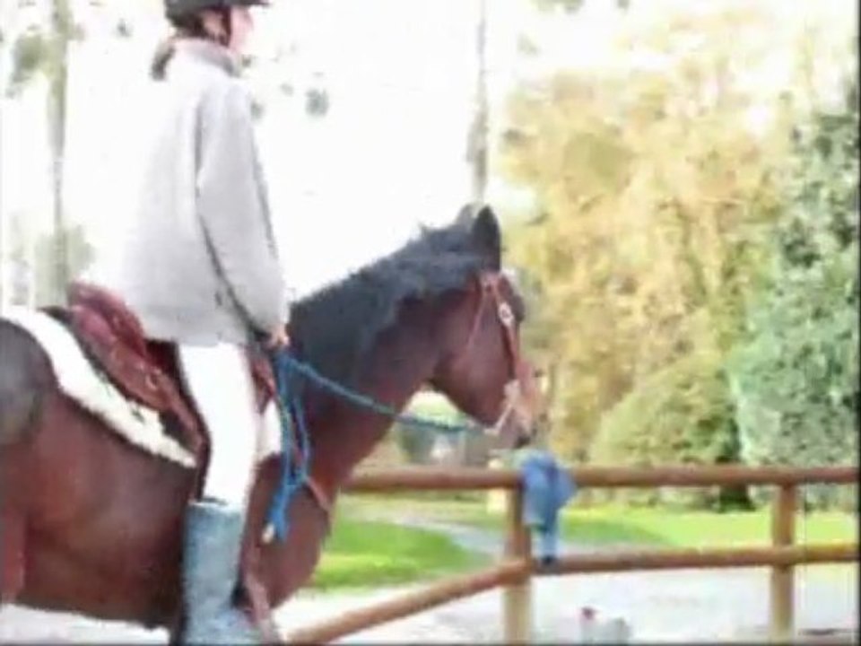 Sarah && Qualypso