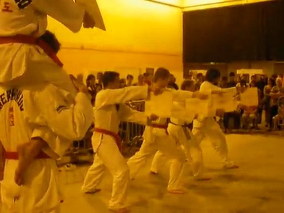 Tae Kwondo