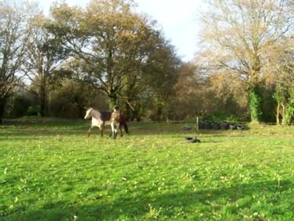 novembre 2009