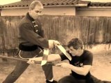 Wing Chun Butterfly Swords (Pah Chan To)