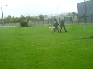 vodka au brevet d'obéissance La Madeleine le 24/1O/2OO9