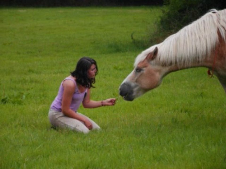 Ce que sait faire Kenzo ^^