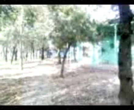 Это МЫ!!! Колпаковы