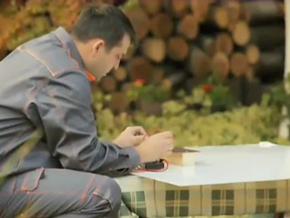 Diy solar Best Breeds Of Chickens For Your Coop Posted By: J