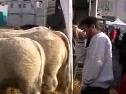 La Sainte-Catherine à Vesoul