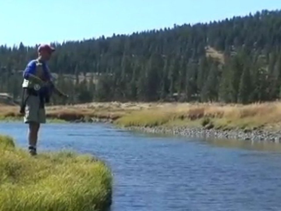 Jackson Hole Fly Fishing