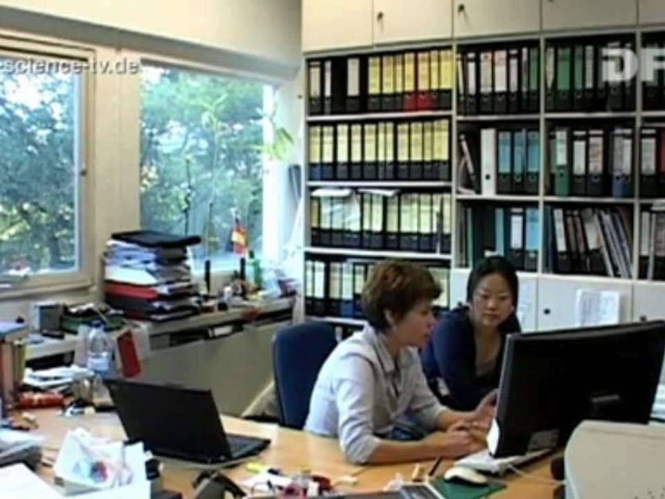 Beton gut verbunden - 11 - Zwischen Druck und Zug