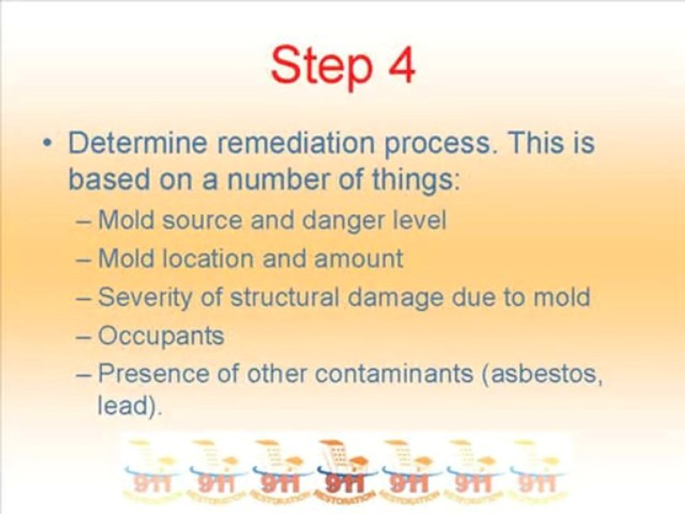 Mold Removal Philadelphia, PA