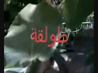 Tolga (Rassouta) طولقة