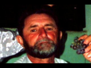 Os Normais - Família Buscapé