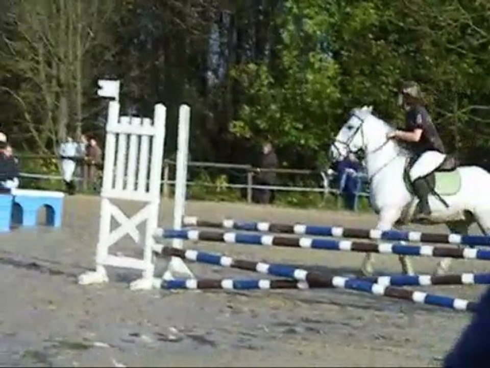 Kango et Moi Cl4 à Andilly