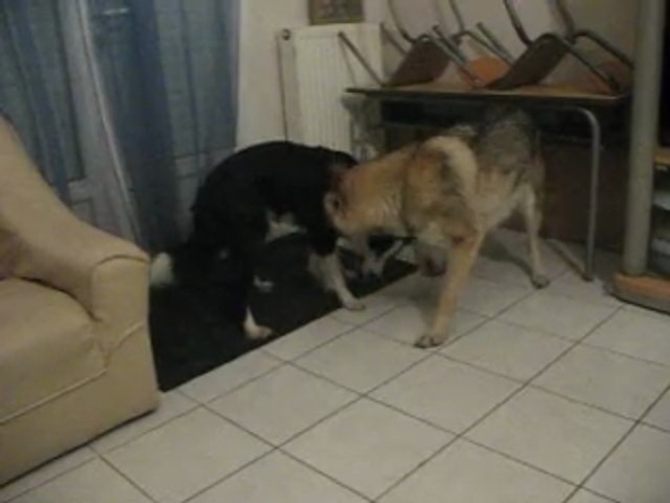 milan machouille du djazz