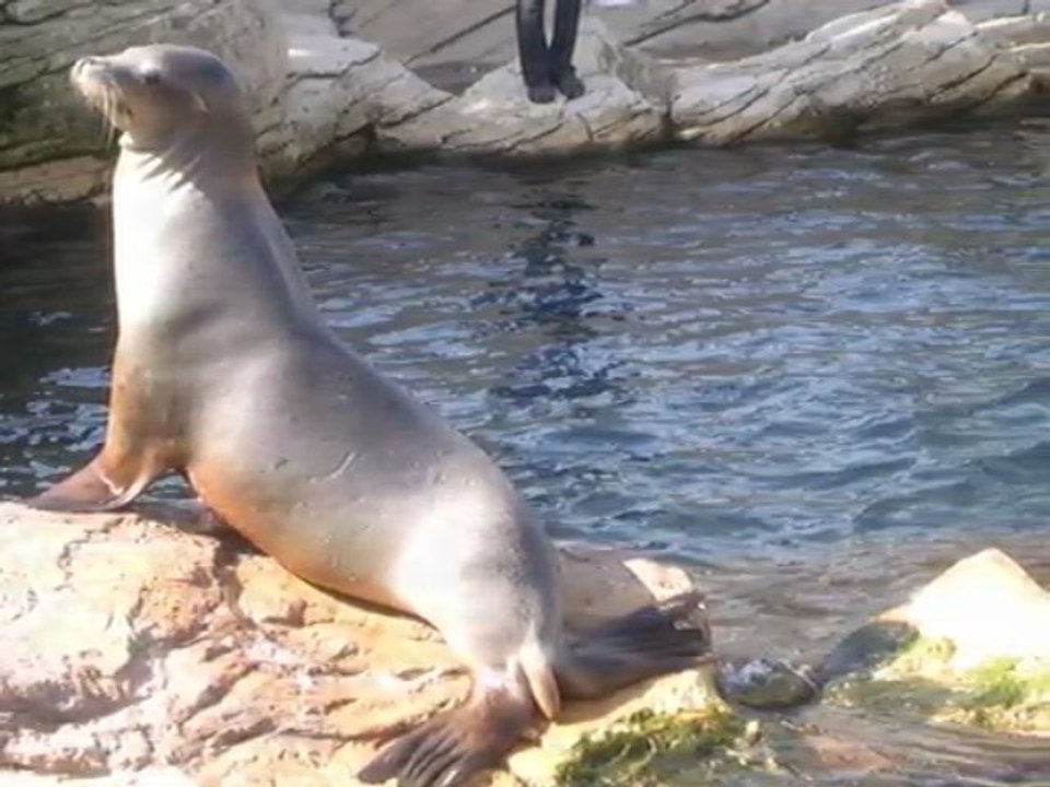 film de boulogne sur mer